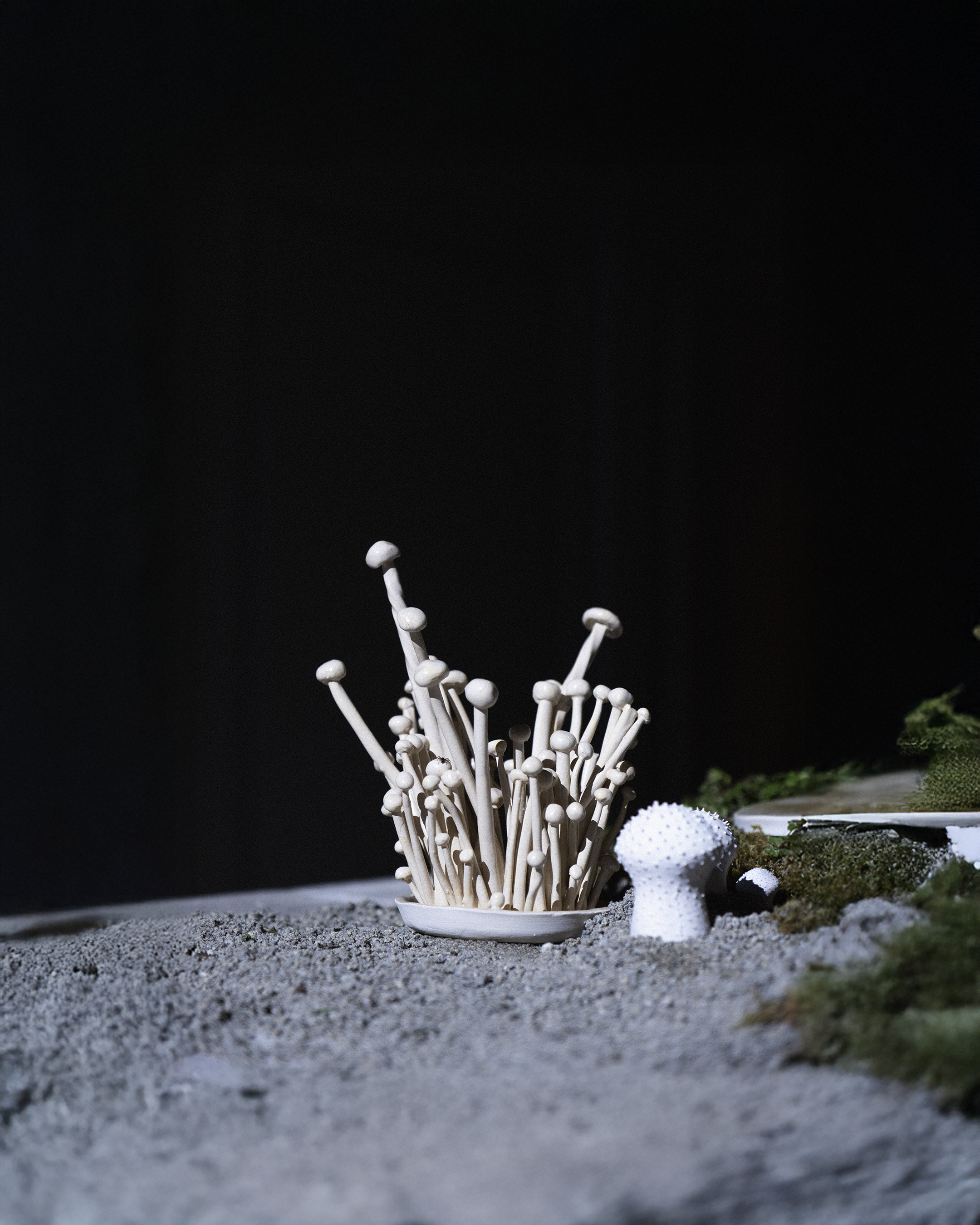 Enoki Candle Holder